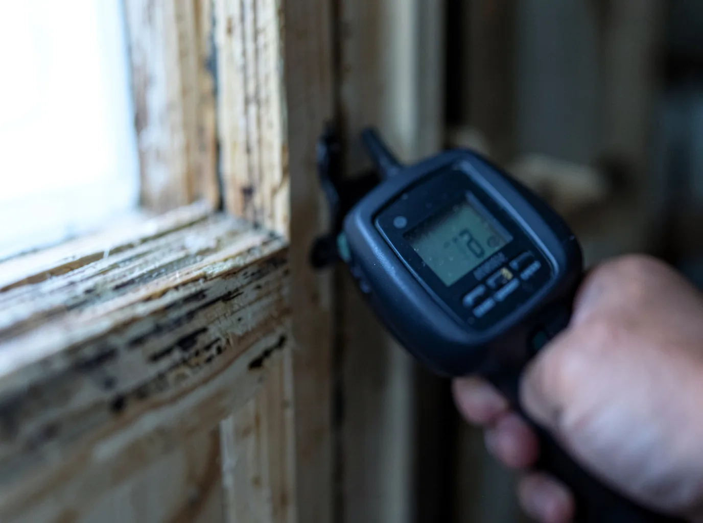 Moisture Inspection And Documentation in Gaines, MI